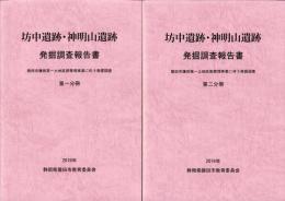 坊中遺跡・神明山遺跡　発掘報告書　全2冊一函入（静岡県）