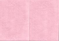 坊中遺跡・神明山遺跡　発掘報告書　全2冊一函入（静岡県）