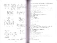 長者屋敷北遺跡・東浦遺跡　-埋蔵文化財発掘調査報告書-　全3冊一函入（静岡県）