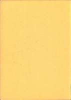 川原遺跡　全3冊一函入　-愛知県埋蔵文化財センター調査報告書 第91集-（愛知県）