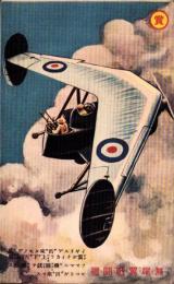 （絵葉書）無尾翼戦闘機　1枚