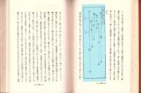 猶太民族の研究