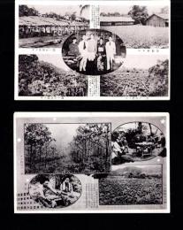 （絵葉書）星製薬の台湾事業　2枚