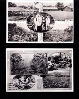 （絵葉書）星製薬の台湾事業　2枚