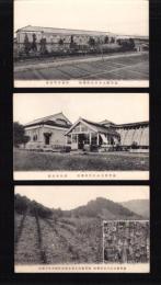 （絵葉書）滋賀県立水口農林学校　3枚（滋賀県）