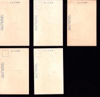 （絵葉書）月瀬梅景　5枚（奈良県）