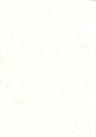 余小路遺跡　-神戸川（赤川）広域基幹河川改修事業 埋蔵文化財発掘調査報告書-（島根県）