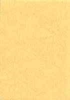 古志遺跡　-古志運動広場等整備事業に伴う埋蔵文化財発掘調査報告書-（島根県）