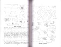 古志遺跡　-古志運動広場等整備事業に伴う埋蔵文化財発掘調査報告書-（島根県）