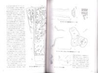 寿昌寺遺跡・築山遺跡発掘調査報告書　-2004年10月-（島根県）