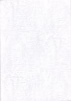 壱丁田遺跡第3次発掘調査報告書　-2006年3月-（島根県）