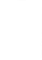 壱丁田遺跡（2次調査）-2008-（島根県）