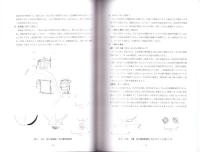 壱丁田遺跡（2次調査）-2008-（島根県）