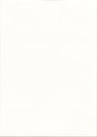 史跡田儀櫻井家たたら製鉄遺跡保存管理計画書　-平成20年3月-（島根県）