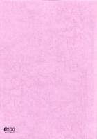 岐阜県中世城館跡総合調査報告書　第2集（岐阜地区・美濃地区）