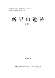 新平山遺跡Ⅱ（静岡県）