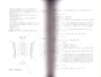 新平山遺跡Ⅱ（静岡県）