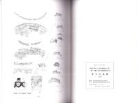 新平山遺跡Ⅱ（静岡県）