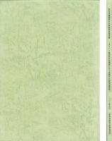 見性寺遺跡第8次発掘調査報告書　-2023年3月-（静岡県）