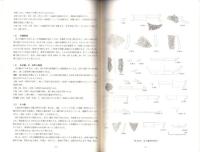 鎌田・鍬影遺跡　第19・20次発掘調査報告書（静岡県）