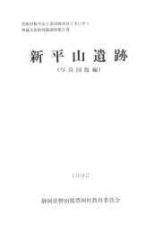 新平山遺跡　-写真図版編-（静岡県）