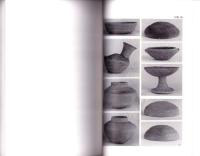 新平山遺跡　-写真図版編-（静岡県）