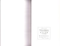 新平山遺跡　-写真図版編-（静岡県）