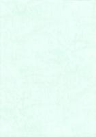 県道浜松袋井線緊急地方道道路改築工事に伴う　埋蔵文化財発掘調査報告書（静岡県）