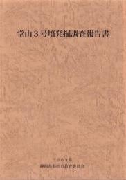 堂山3号墳発掘調査報告書（静岡県）