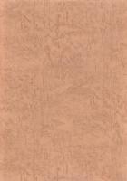 堂山3号墳発掘調査報告書（静岡県）