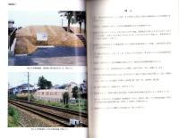 堂山3号墳発掘調査報告書（静岡県）