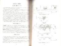 堂山3号墳発掘調査報告書（静岡県）