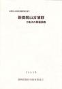 新豊院山古墳群　D地点の発掘調査　-新豊院山遺跡発掘調査報告書Ⅲ-