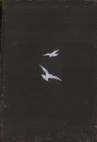 平壌要覧（韓国）