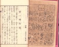 博物教授解　-植物之部-　全　