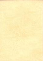 出来町天王祭　鹿子神車・河水車　-名古屋市山車調査報告書8-