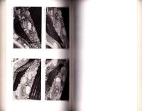 重要文化財　神部神社・浅間神社・大歳御祖神社　第一期修理工事報告書　第1集（静岡県）