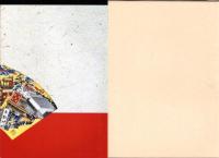 愛知県有形民俗文化財　亀崎潮干祭総合調査報告書（愛知県）