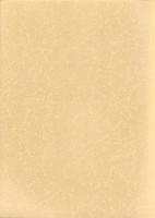 山王山遺跡　-A1・A2地点の調査-　本庄市埋蔵文化財調査報告書 第40集（埼玉県）