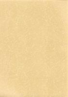 左口遺跡Ⅱ（B地点の調査）・本庄飯玉遺跡・北堀新田遺跡Ⅲ（D地点の調査）-本庄市埋蔵文化財調査報告書 第34集-（埼玉県）