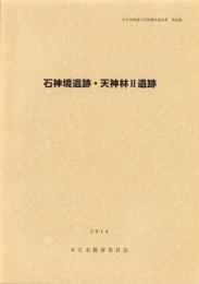 石神境遺跡・天神林Ⅱ遺跡　-本庄市埋蔵文化財調査報告書 第38集-（埼玉県）