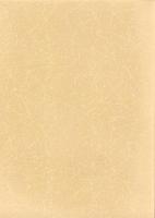 石神境遺跡・天神林Ⅱ遺跡　-本庄市埋蔵文化財調査報告書 第38集-（埼玉県）