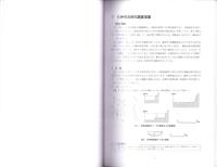 石神境遺跡・天神林Ⅱ遺跡　-本庄市埋蔵文化財調査報告書 第38集-（埼玉県）