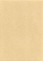 雌濠遺跡　-本庄市埋蔵文化財調査報告書 第12集-（埼玉県）