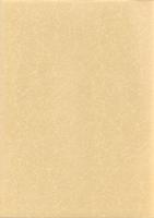 雌濠Ⅱ・笠ヶ谷戸・小島本伝　-本庄市埋蔵文化財調査報告書 第15集-（埼玉県）