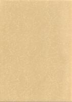 本庄城跡　-本庄市埋蔵文化財調査報告書 第25集-（埼玉県）