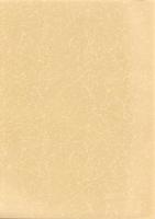 金屋南遺跡Ⅲ　-長沖古墳群内：縄文A地区・江ノ浜地区-　本庄市埋蔵文化財調査報告書 第31集（埼玉県）