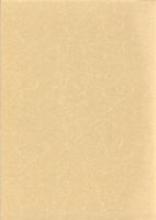 将監塚遺跡　-第3次調査-　本庄市埋蔵文化財調査報告書 第16集（埼玉県）