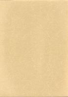 東五十子北町中遺跡　-本庄市埋蔵文化財調査報告書 第8集-（埼玉県）