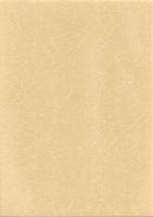 川越田遺跡Ⅲ　-本庄市埋蔵文化財調査報告書 第9集-（埼玉県）